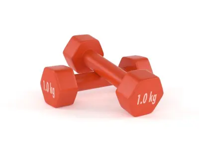 Yoga Mat and Dumbbells 3D model