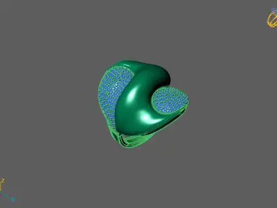 Women Ring 3D print model 11