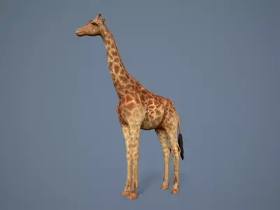 Giraffe Low-poly 3D model