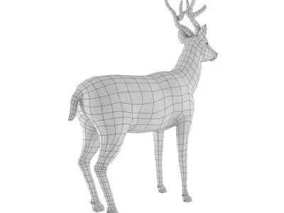 Deer Base Mesh Low-poly 3D model