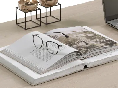 Desktop workplace decor 3D model