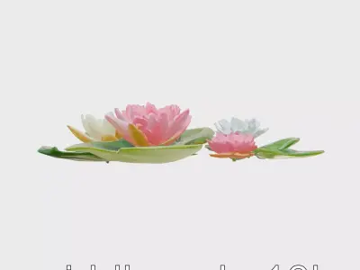 Lively Water Lily Pond Scene model pack Low-poly 3D model