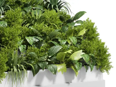 Stairs plant outdoor indoor concrete vase pot fern bush grass 3D model