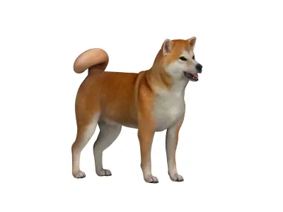 Japanese Shiba Inu Dog Low-poly 3D model