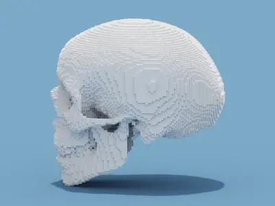 Voxel Skull Low-poly 3D model