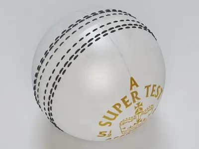 Cricket Ball Stress 3D model