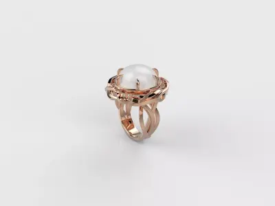 RING PdC N3 3D print model