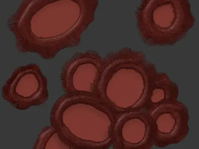 Sea Anemone Mirror Set by Pia Maria Raeder 3D model