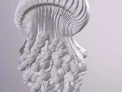 Jellyfish 7 basrelief for 3D printing 3D print model
