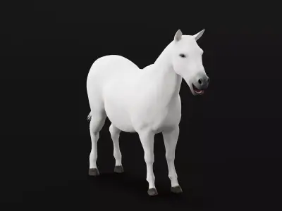 Mule Domestic Equine 3D model