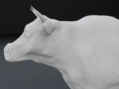 Dairy Cow  3D model