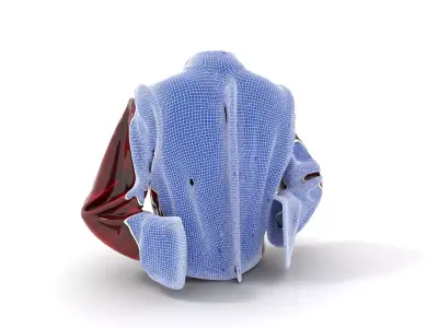 Elegant Velvet Jacket model pack Low-poly 3D model