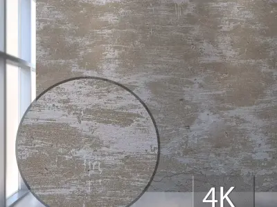 955 plaster Texture