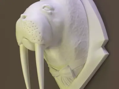 Walrus head 3D model