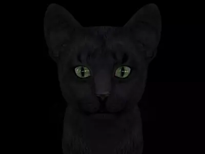 TCAT-001 Rigged Cat 3D model