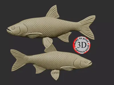 Asp - fish for easy printing 3D print model