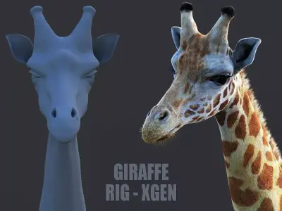 Giraffe XGEN CORE RIGGED 3D model