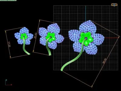 Flower Diamond Tops 3d Printable Model 3D print model