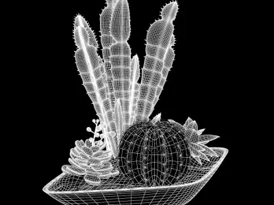 Arranjo canoa de suculentas 3D model