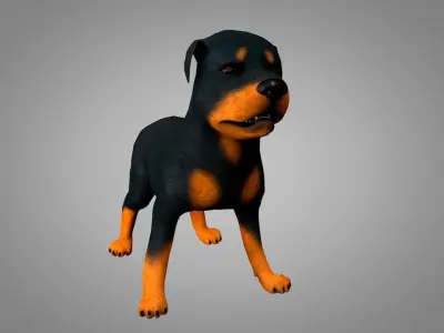 Dog Rottweiler Low-poly 3D model