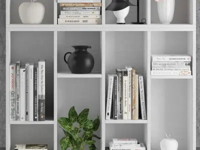 Decoration set 6 bookcase with potted plant and books 3D model