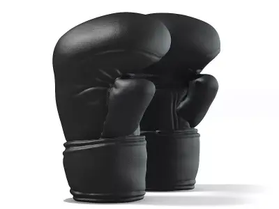 Boxing Gloves 3D model