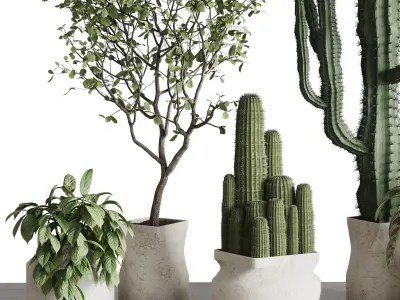 Indoor plant 458 pot plant cactus tree bush in old concrete vase 3D model