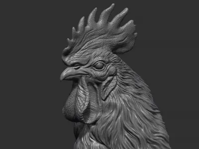 Rooster bust 3D print model