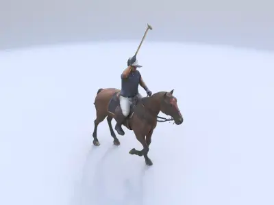 Polo 3D model