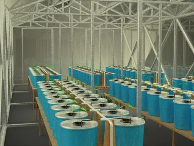 BATO DUTCH BUCKET HYDROPONIC SYSTEM GREEN GLASS HOT HOUSE PLANT 3D model