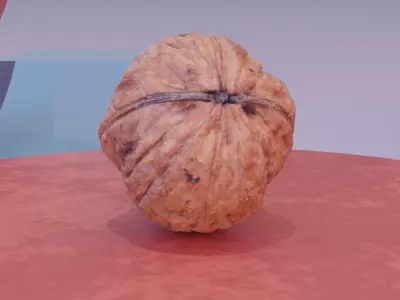 Walnut fruit 06 high-poly 3D model