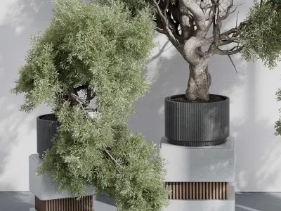 indoor plant set 389 tree bush concrete dirt vase Low-poly 3D model