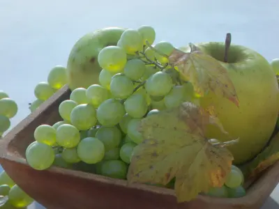 Grapes Single Fruit Bunches and Model Kit Low-poly 3D model