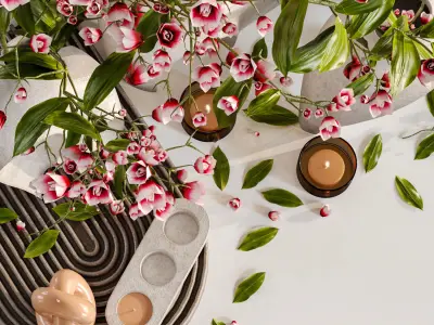 Decor set 003 3D model