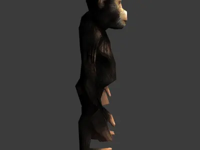 Chimpance chimpanzee Low-poly 3D model