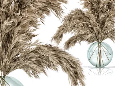 Dried flower- bouquet 006  3D model