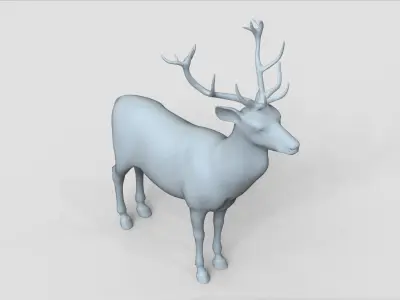 deer basemesh 3D model