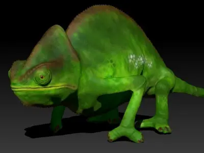 Chameleon Low-poly 3D model