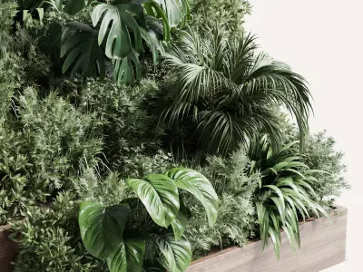 Collection outdoor plant stairs wooden vase pot fern bush  Low-poly 3D model