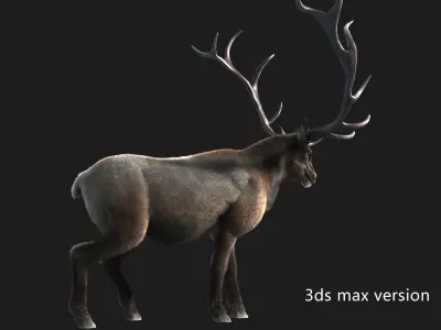 elaphurus deer buck stag reindeer doe Low-poly 3D model