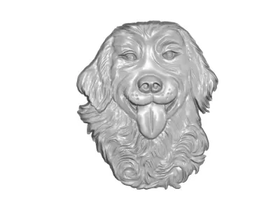 Dog  face 3D model