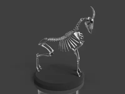 Goat Skeleton Concept Art Model 3D model