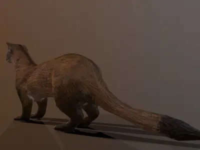 Black-footed ferret Low-poly 3D model