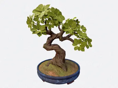 Japanese Bonsai Pot Plant Low-poly 3D model