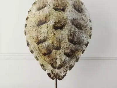 Faux Turtle Shell Sculpture 2 3D model