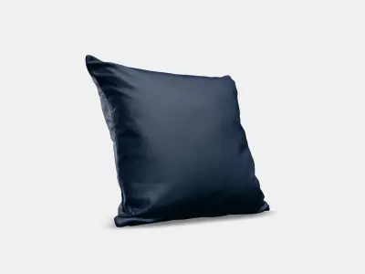 SANELA Cushion cover 9 1 Low-poly 3D model