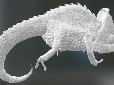 Chameleon with submeshes  3D model