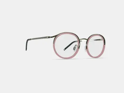 Bergen Eyeglasses in Rose Water with Riesling 3D model
