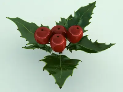 Mistletoe Sprig Holly 3D model