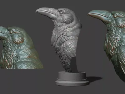 Raven head bust 3D print model